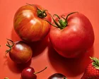 Summer picks: what to plant, harvest and eat right now