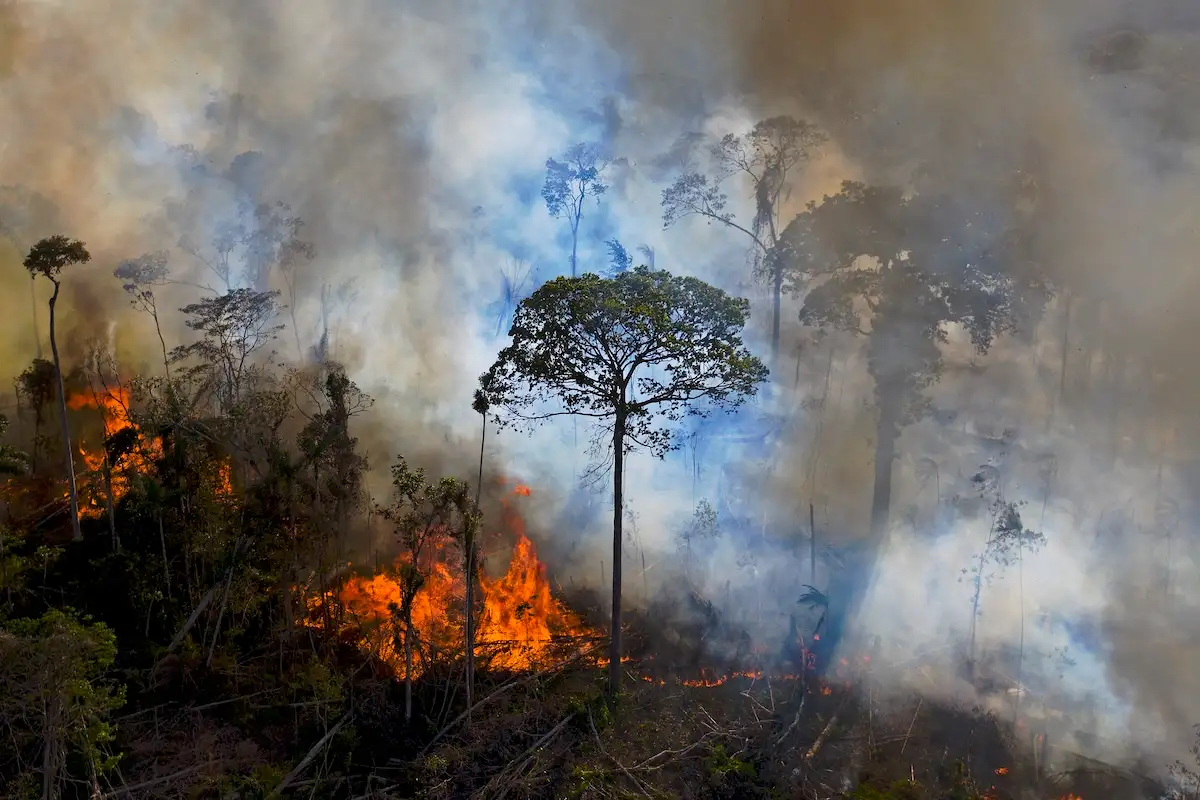 The Breakdown of Natural Systems Could Intensify Warming by 30 Percent