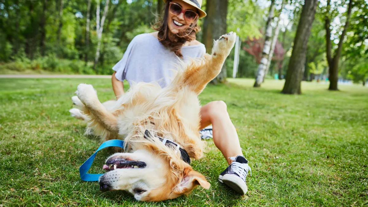 Why do dogs’ legs shake during pets? It’s not because they like it.