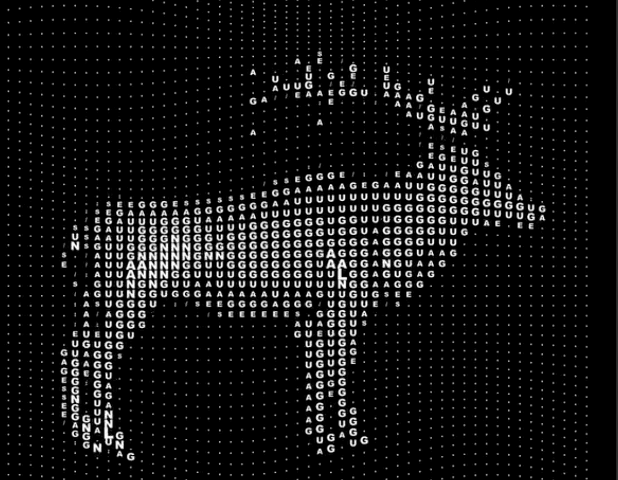 Using AI to ‘talk to animals’ might make us feel clever – but what, if anything, does it do for them?