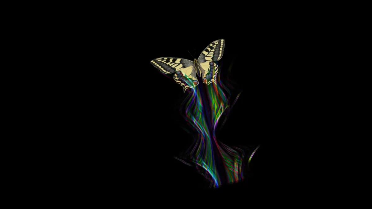 Butterfly wings create dazzling optical illusions